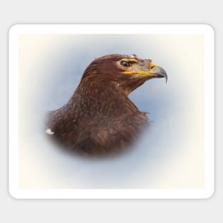 Steppe eagle Sticker